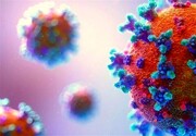 چرا مبتلایان به امیکرون سریعتر ناقل ویروس می‌شوند