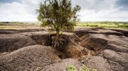 فرسایش خاک در کشور ۵ برابر متوسط جهانی است