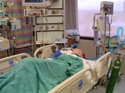 استان بوشهر ۹ روز پیاپی را بدون فوتی بیماران کرونایی پشت سر گذاشت