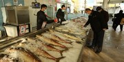 سهم غذاهای دریایی از سفره ایرانیان؛ یک ششم میزان استاندارد جهانی