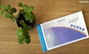 ۳۴۶ هزار و ۸۹۴ دانشجو و زنان خانه‌دار بیمه‌شده در بیمه فراگیر خانواده ایرانی