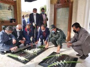 غبار روبی و عطر افشانی گلزار شهدای بوشهر به مناسبت هفته کار و کارگر
