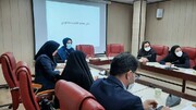 برگزاری سومین کمیته تخصصی اشتغال استان البرز