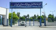 افزایش 49 درصدی سود خالص آنتی بیوتیک سازی شستا