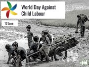 عدالت اجتماعی و کار شایسته برای بزرگسالان پادزهر کار کودکان