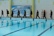 برگزاری المپیاد ورزشی شنا کارکنان تامین‌اجتماعی در قزوین