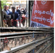 افتتاح طرح اشتغالزایی پرورش بلدرچین تخم‌گذار در شهرستان ابهر