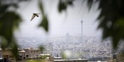 کیفیت هوای تهران در بازه ناسالم برای گروه‌های حساس است