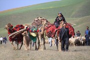عضویت ۱۰۷ هزار گیلانی در صندوق بیمه اجتماعی روستاییان و عشایر