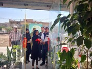 بهره‌برداری از ۵۶ طرح ایجاد اشتغال ویژه معلولان بهزیستی خوزستان
