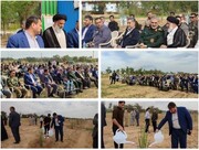 برگزاری آیین کاشت پنج‌ میلیون نهال در خوزستان با حضور مدیرکل تعاون، کار و رفاه اجتماعی