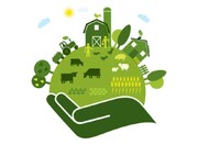 آموزش، کلید ورود به کشاورزی محیط‌زیست محور