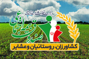 ثبت‌ نام مادران زنجانی دارای ۳ فرزند در طرح بیمه رایگان کشاورزی