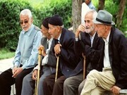۵۷ هزار بازنشسته و مستمری‌بگیر تحت پوشش تامین اجتماعی زنجان هستند