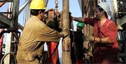 ۳۵۴ هزار کارگر استان بوشهر بیمه شده تامین اجتماعی هستند