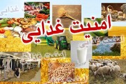 شارژ اعتبار مرحله اول و دوم طرح امنیت غذایی کودکان زیر ۵ سال مشمول در خراسان رضوی