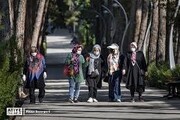 چالش‌های تأمین اجتماعی در بازنشستگی زودهنگام /افزایش ریسک برای صندوق‌های بازنشستگی