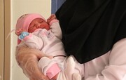هزینه بیش از ۲۰۳ میلیارد ریالی تامین اجتماعی قم برای درمان زوج‌های نابارور