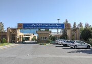 رشد ۸۷ درصدی درآمد سالانه «شاملا» در سال ۱۴۰۳
