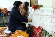 ایجاد بیش از ۱۲۰۰ شغل جدید با پرداخت تسهیلات مشاغل خانگی در بوشهر