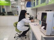 ارائه خدمات رایگان به ۱۰۲هزار نفر در آزمایشگاه‌های تامین اجتماعی زنجان