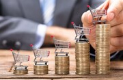 تیتر پیشنهادی: تاثیر بی ثباتی اقتصادی در مصرف واقعی خانوارها