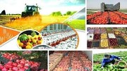 ایمنی غذا چالش فراموش شده سفره ها