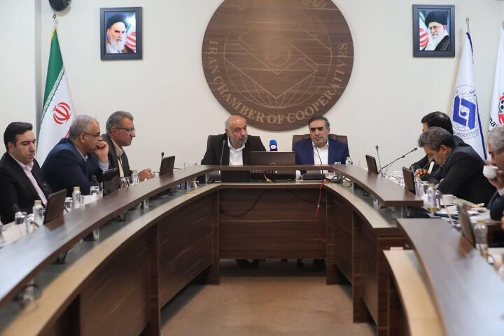 ابتکارات در حوزه تعاون مختص ایرانی هاست