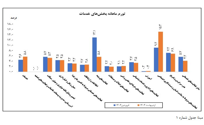 «سلامت انسان و مددکاری اجتماعی» در صدر فهرست تورم بخش خدمات