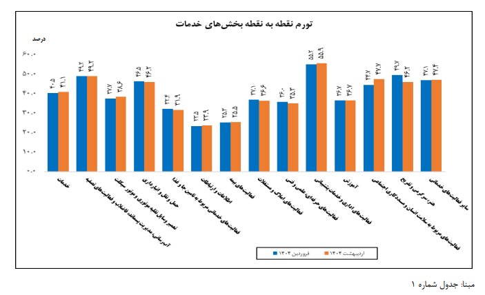 «سلامت انسان و مددکاری اجتماعی» در صدر فهرست تورم بخش خدمات