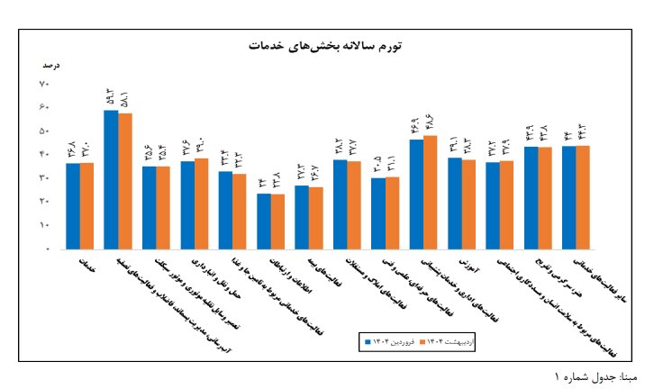 «سلامت انسان و مددکاری اجتماعی» در صدر فهرست تورم بخش خدمات