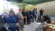 حضور مسئولان تأمین اجتماعی خوزستان در گلزار شهدای اهواز