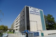 نجات پسربچه ۷ ساله با پیوند به‌موقع عروق
